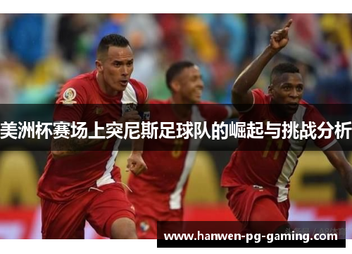 美洲杯赛场上突尼斯足球队的崛起与挑战分析