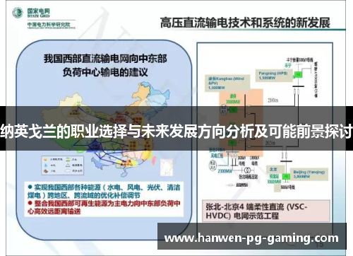 纳英戈兰的职业选择与未来发展方向分析及可能前景探讨