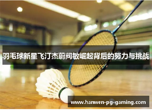 羽毛球新星飞汀杰蔚阀敏崛起背后的努力与挑战 羽毛球新星飞汀杰蔚阀敏崛起背后的努力与挑战