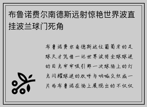 布鲁诺费尔南德斯远射惊艳世界波直挂波兰球门死角