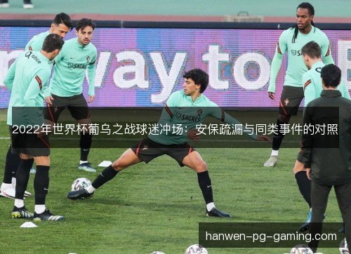 2022年世界杯葡乌之战球迷冲场：安保疏漏与同类事件的对照